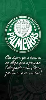 Maybe you would like to learn more about one of these? Palmeiras Brazil Futebol Sao Paulo Se Palmeiras Verde Hd Mobile Wallpaper Peakpx