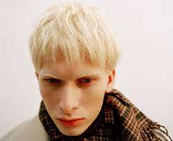 Talking Heads Gallery