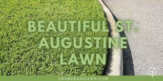 Real quoted projects from sod contractors. How To Make St Augustine Grass Spread Quickly And Grow Thicker Cg Lawn