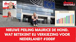 Nieuwe peiling Maurice de Hond. Wat betekent EU verkiezing ... - YouTube