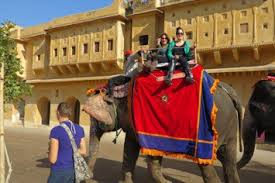 In fact, camels for most of us seems are synonymous with rajasthani culture and lifestyle. Elephant Ride In Jaipur Jaipur The Glorious City Is The Royal By Elefan Joy Medium