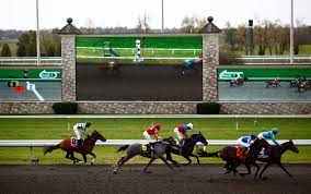 A Track S Shift To Dirt Adds To Horses Risks The New York Times