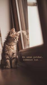 Bicirik Adli Kullanicinin Durum Sozleri Panosundaki Pin Inanc Sozleri Resimli Alintilar Ilham Veren Alintilar