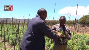 Mugambo wa murimi (part 1). Mugambo Wa Murimi Youtube