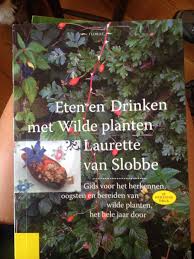 Eetbare Planten Hebben Planten Eetbare Planten Eetbare Bloemen