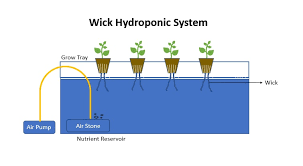 We did not find results for: Wick Hydroponic System Best And Easy Hydroponic System For Beginners Gardening Tips Plants Care Plants Details