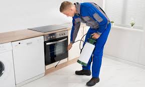 We have termite treatments and termite bait and monitoring. Around The Clock Pest Control Up To 71 Off Saint Louis Mo Groupon