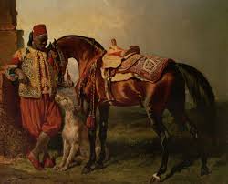 Things Of Beauty I Like To See Photo Horse Painting Horses Arabian Horse Art