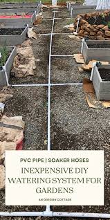 Layne Baird (laynebaird)