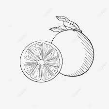 Wayang free vector art 425 free downloads. Gambar Separuh Buah Vitamin Oren Clipart Hitam Dan Putih Buah Draf Garis Jingga Png Dan Psd Untuk Muat Turun Percuma