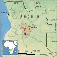 Image result for Clitoria kaessneri