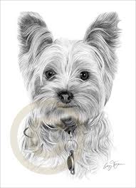 Paintings Of Yorkies Details About Dog Yorkshire Terrier Le Art Pencil Drawing Print A4 Animal Drawings Dog Drawing Pencil Portrait