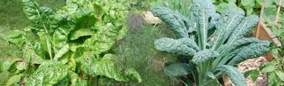 We did not find results for: Heat Tolerant Greens Melinda Myers