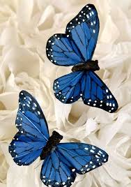 Find images of monarch butterfly. Christmas 12 Blue Monarch Butterfly Ornament Decoration Tree Etsy Butterfly Ornaments Beautiful Butterflies Blue Butterfly Wallpaper