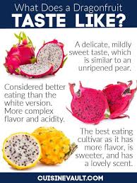 What Do Dragonfruit Taste Like In 2020 Dragon Fruit How To Eat Better Sweet Taste