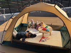 Bubblye Bubblyeboba - Profil Pinterest