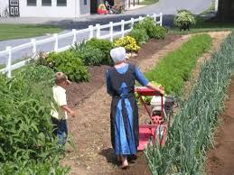 Bird In Hand Farmers Market Lancaster The Amish Experience Vip Tour Amish Amish Culture Amish Country