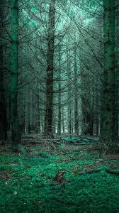 3d Nature Live Wallpaper For Android Mysterious Forest Forest Phone Wallpaper Hd 799964 Hd Wallpaper Backgrounds Download Free live wallpaper for your desktop pc & android phone!