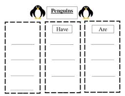 penguins can have are graphic organizer