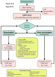 Image result for Ventricular Fibrillation Management in the Adult