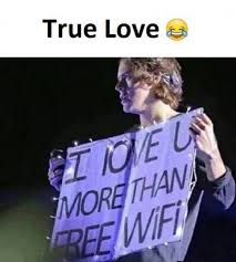 True Love Meme Fun Quotes Funny Funny Love Love Quotes Funny