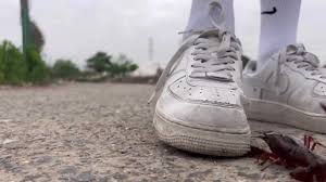 crush lobster - ThisVid.com