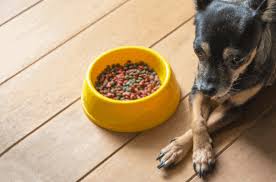 Champion pet foods has netted a great amount of. Fromm Vs Acana Pros Cons Of Each Brand Mr Dog Food