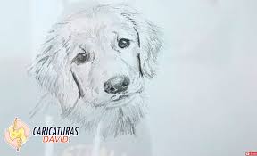 Acá les muestro el proceso de realización de una caricatura que hice a lápiz. Como Dibujar Un Perro A Lapiz Paso A Paso Y Facil