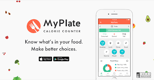 Myplate Calorie Counter Livestrong Com