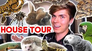 I Adopted a Green Winged Macaw! MEET CLEO! 🦜