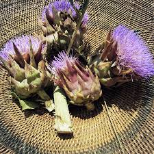 Pin Von Sandracaleffi Raw Ideas Auf M Y S H O T S Distel
