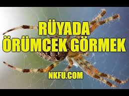 Ruyada Kene Gormek Youtube