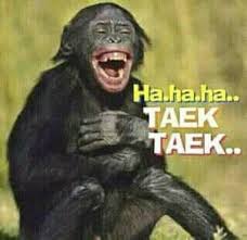 Paling Keren 26 Gambar Lucu Ayam Monyet Download 93 Gambar Monyet Ketawa Ngakak Terbaru Gratis Download 1000 Gambar Lucu Gratis K Gambar Lucu Foto Lucu Lucu