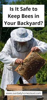 Beekeeping For Beginners Is It Safe To Keep Bees In Your Backyard In 2021 Beekeeping For Beginners Backyard Bee Keeping