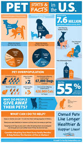 Pet Ownership Shelter Statistics Infographic Dog Infographic Animal Infographic Pet Ownership