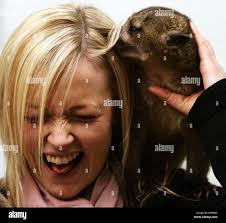 Upper forth hi-res stock photography and images