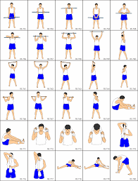 Tareas Para La Entrada En Calor Ejerciciosparaentrarencalorflexibilidad Exercise Images Body Stretches Flexibility Stretching Exercises