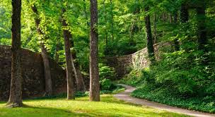 Compare 200+ booking sites worldwide. Hot Springs Nationalpark Visit The Usa