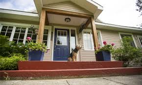 Como filosofia acreditamos que a socialização é um dos papéis fundamentais na vida de um pet. Pet Friendly Archives Explorers Edge Algonquin Park Almaguin Highlands Loring Restoule Muskoka Parry Sound
