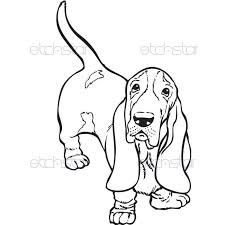 Basset Hound Clipart Black And White Akc Basset Hound Basset Hound Basset Hound