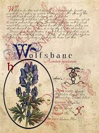 Wolfsbane Page Book Of Shadows Magic Herbs Spell Book