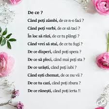 Pin On Citate