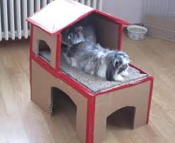 Cool 21 House Of The Unique Rabbit And Easy To Make Https Meowlogy Com 2018 03 19 21 House Of The Unique Rabbit And Easy Diy Bunny Toys Pet Bunny Pet Rabbit