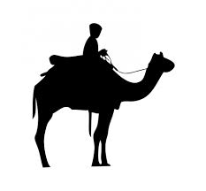 How to draw a camel. Kamel Reiter Schwarz Silhouette Kostenloses Stock Bild Public Domain Pictures