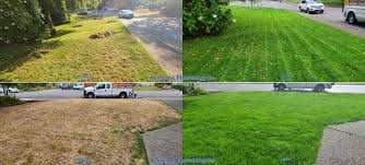 You will typically see sprouting in 1 to 2 weeks. Seattle Area Lawn Full Meal Deal Aerating Thatching Co