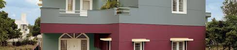 Top coat 8538 fennel seed. Which Is Better Asian Paints Ace Vs Apex Exterior
