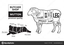 Lamb Or Mutton Cuts Diagram Butcher Shop Stock Vector