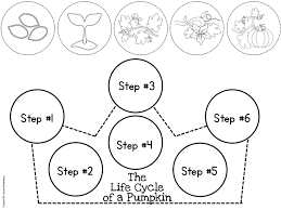 Free Life Cycle Of A Pumpkin Crown Pumpkin Lessons Pumpkins Kindergarten Life Cycles