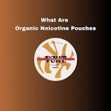 What Are Organic Nicotine Pouches - MyNicco
