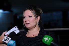 Joice hasselmann foi eleita em 2018 a deputada federal por sp mais votada da história do país. Datei Joice Hasselmann Em Fevereiro De 2019 Jpg Wikipedia